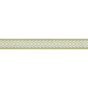Thibaut Westport Tape Spring Green Trim