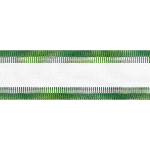 Thibaut Nordia Tape Kelly Trim