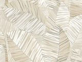 York Wallcoverings Crown Canopy Neutral Palm Peel + Stick Wallpaper