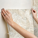 York Wallcoverings Crown Canopy Neutral Palm Peel + Stick Wallpaper