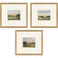 Paragon Verde Vista I S/3 Green 20 X 22 X 2 Wall Art
