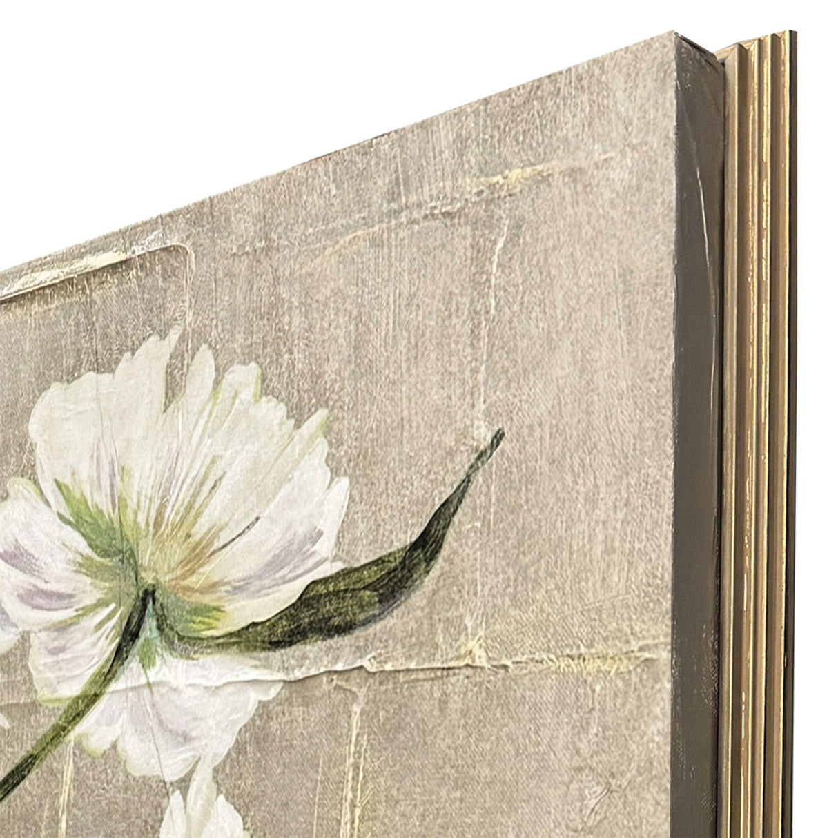 Paragon A New Bloom I White 25 X 25 X 2 Wall Art