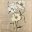 Paragon A New Bloom II White 25 X 25 X 2 Wall Art