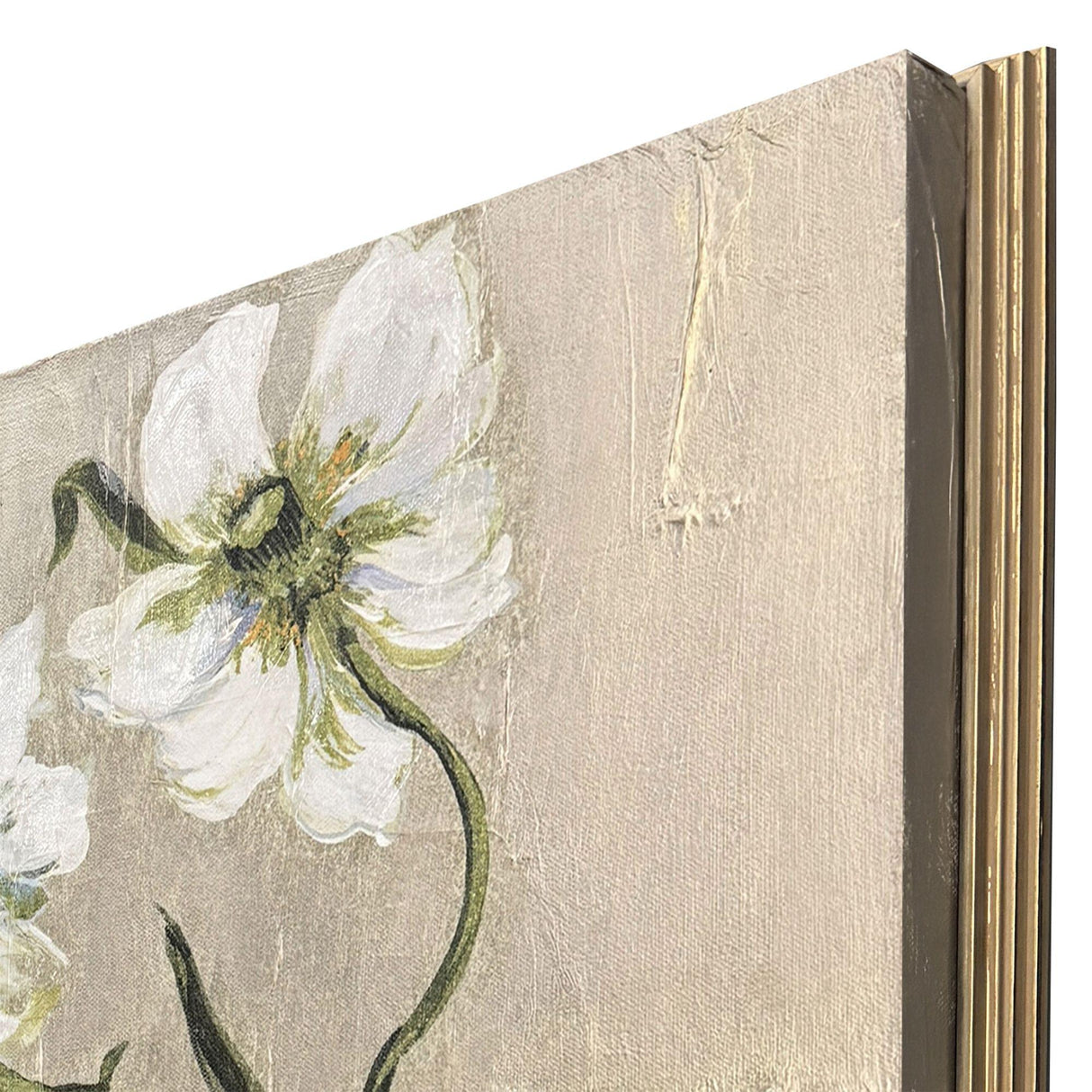 Paragon A New Bloom II White 25 X 25 X 2 Wall Art