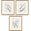 Paragon Crossing Paths I S/3 Blue 23 X 20 X 2 Wall Art