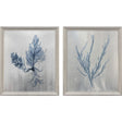 Paragon Oceanic Curiosity I S/2 Blue 20 X 17 X 2 Wall Art