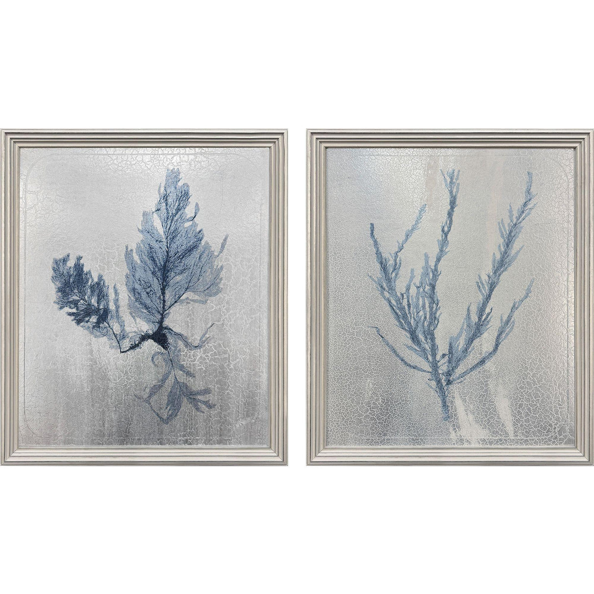 Paragon Oceanic Curiosity I S/2 Blue 20 X 17 X 2 Wall Art