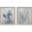 Paragon Oceanic Curiosity I S/2 Blue 20 X 17 X 2 Wall Art