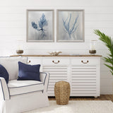 Paragon Oceanic Curiosity I S/2 Blue 20 X 17 X 2 Wall Art