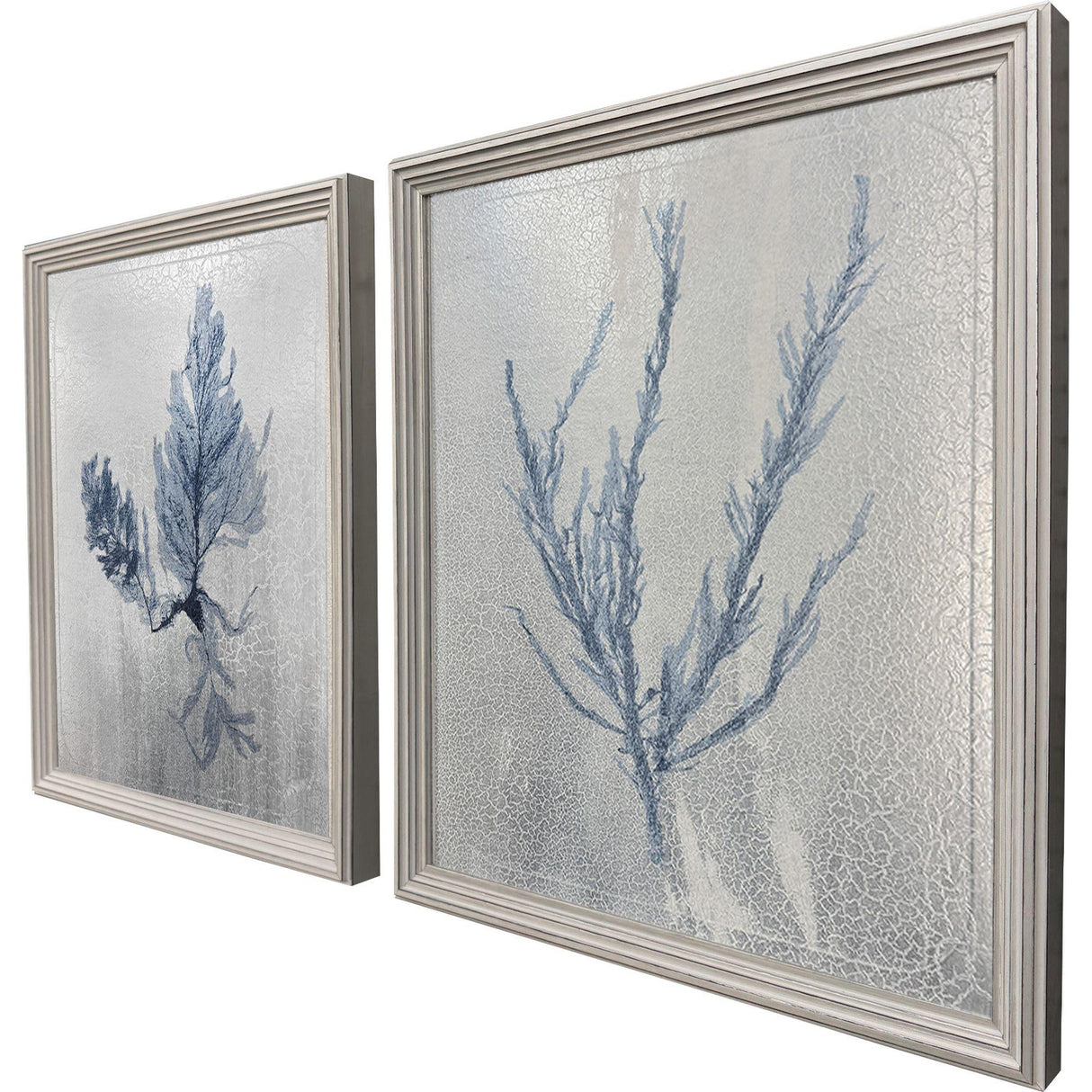 Paragon Oceanic Curiosity I S/2 Blue 20 X 17 X 2 Wall Art