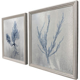 Paragon Oceanic Curiosity I S/2 Blue 20 X 17 X 2 Wall Art