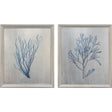 Paragon Oceanic Curiosity II S/2 Blue 20 X 17 X 2 Wall Art