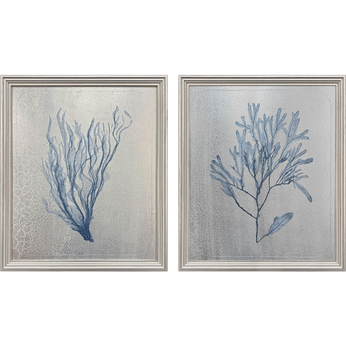 Paragon Oceanic Curiosity II S/2 Blue 20 X 17 X 2 Wall Art