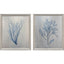 Paragon Oceanic Curiosity II S/2 Blue 20 X 17 X 2 Wall Art