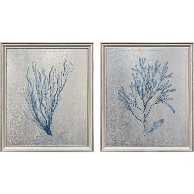Paragon Oceanic Curiosity II S/2 Blue 20 X 17 X 2 Wall Art
