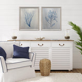 Paragon Oceanic Curiosity II S/2 Blue 20 X 17 X 2 Wall Art