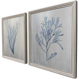 Paragon Oceanic Curiosity II S/2 Blue 20 X 17 X 2 Wall Art