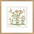 Paragon Botanica I Multi 34 X 34 X 2 Wall Art