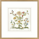 Paragon Botanica I Multi 34 X 34 X 2 Wall Art