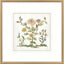Paragon Botanica I Multi 34 X 34 X 2 Wall Art