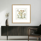 Paragon Botanica I Multi 34 X 34 X 2 Wall Art