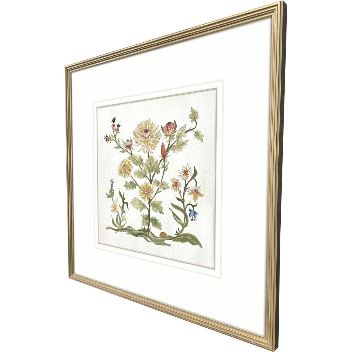 Paragon Botanica I Multi 34 X 34 X 2 Wall Art