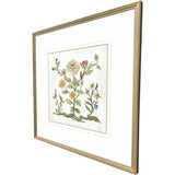 Paragon Botanica I Multi 34 X 34 X 2 Wall Art