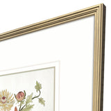 Paragon Botanica I Multi 34 X 34 X 2 Wall Art