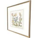 Paragon Botanica III Multi 34 X 34 X 2 Wall Art