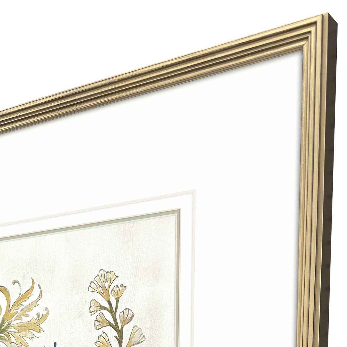 Paragon Botanica III Multi 34 X 34 X 2 Wall Art