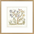 Paragon Botanica IV Multi 34 X 34 X 2 Wall Art