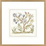 Paragon Botanica IV Multi 34 X 34 X 2 Wall Art