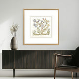 Paragon Botanica IV Multi 34 X 34 X 2 Wall Art