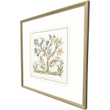 Paragon Botanica IV Multi 34 X 34 X 2 Wall Art