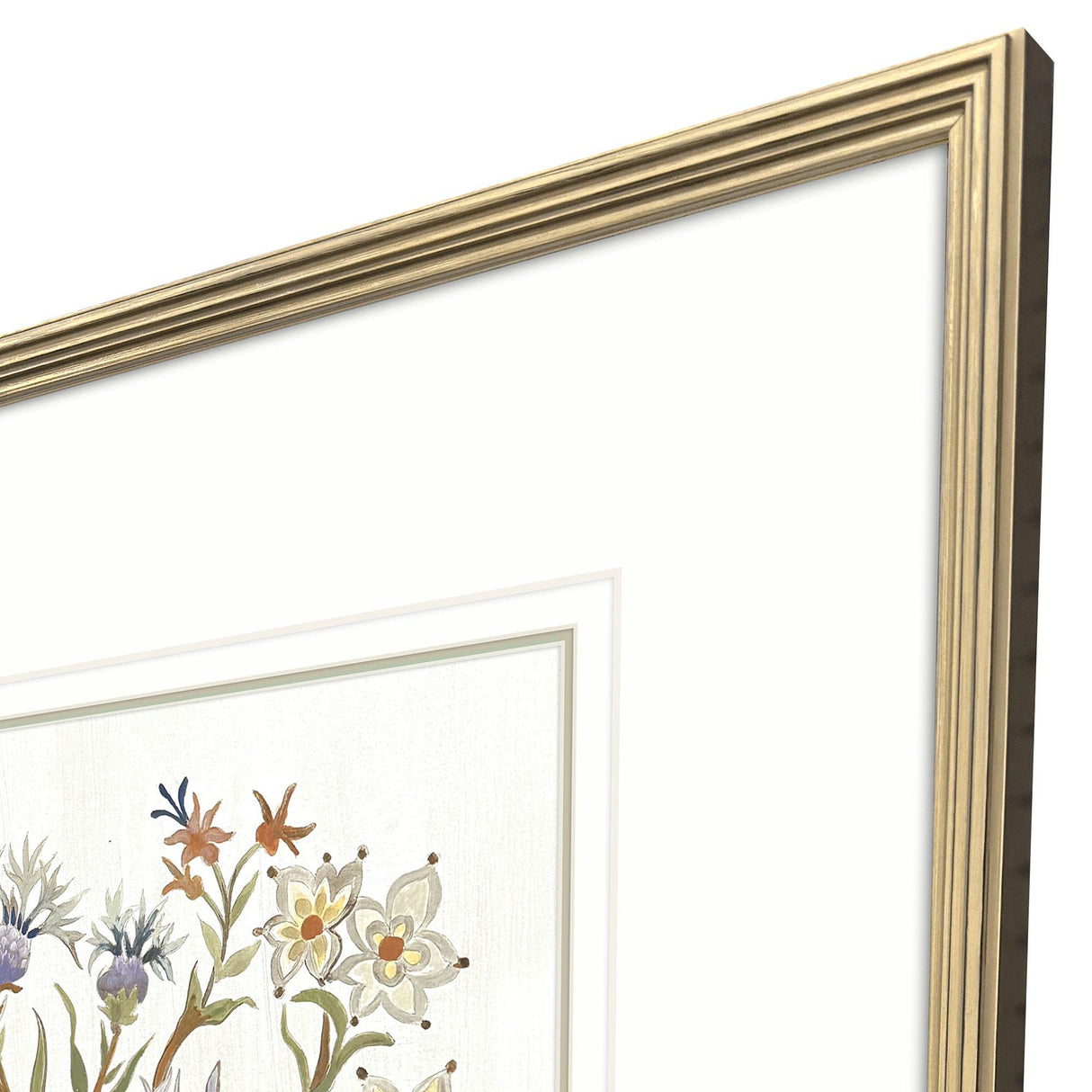 Paragon Botanica IV Multi 34 X 34 X 2 Wall Art