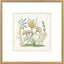 Paragon Botanica II Multi 34 X 34 X 2 Wall Art