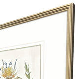 Paragon Botanica II Multi 34 X 34 X 2 Wall Art