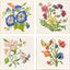 Paragon Floral Snapshot I S/4 Multi 05 X 05 X 1 Wall Hanging
