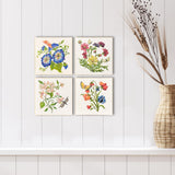 Paragon Floral Snapshot I S/4 Multi 05 X 05 X 1 Wall Hanging
