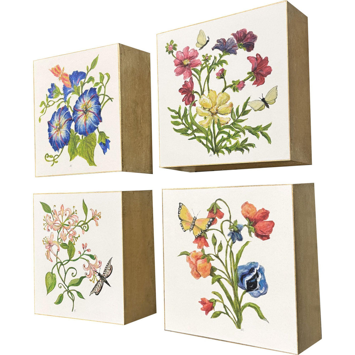 Paragon Floral Snapshot I S/4 Multi 05 X 05 X 1 Wall Hanging