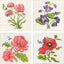 Paragon Floral Snapshot III S/4 Multi 05 X 05 X 1 Wall Hanging