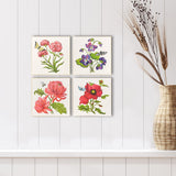 Paragon Floral Snapshot III S/4 Multi 05 X 05 X 1 Wall Hanging