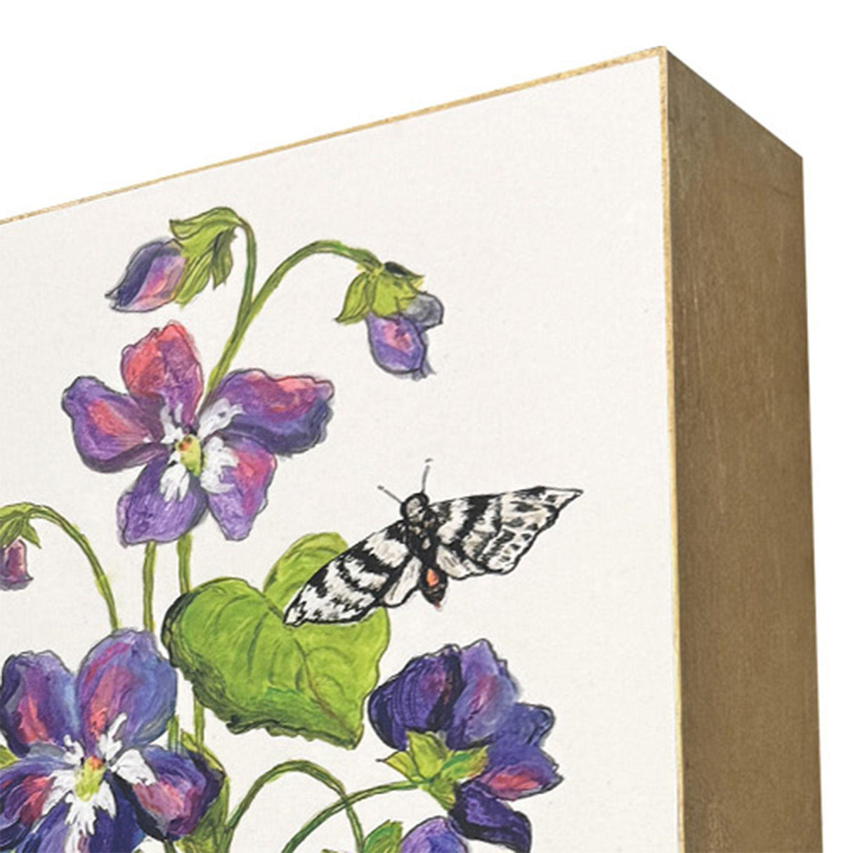 Paragon Floral Snapshot III S/4 Multi 05 X 05 X 1 Wall Hanging