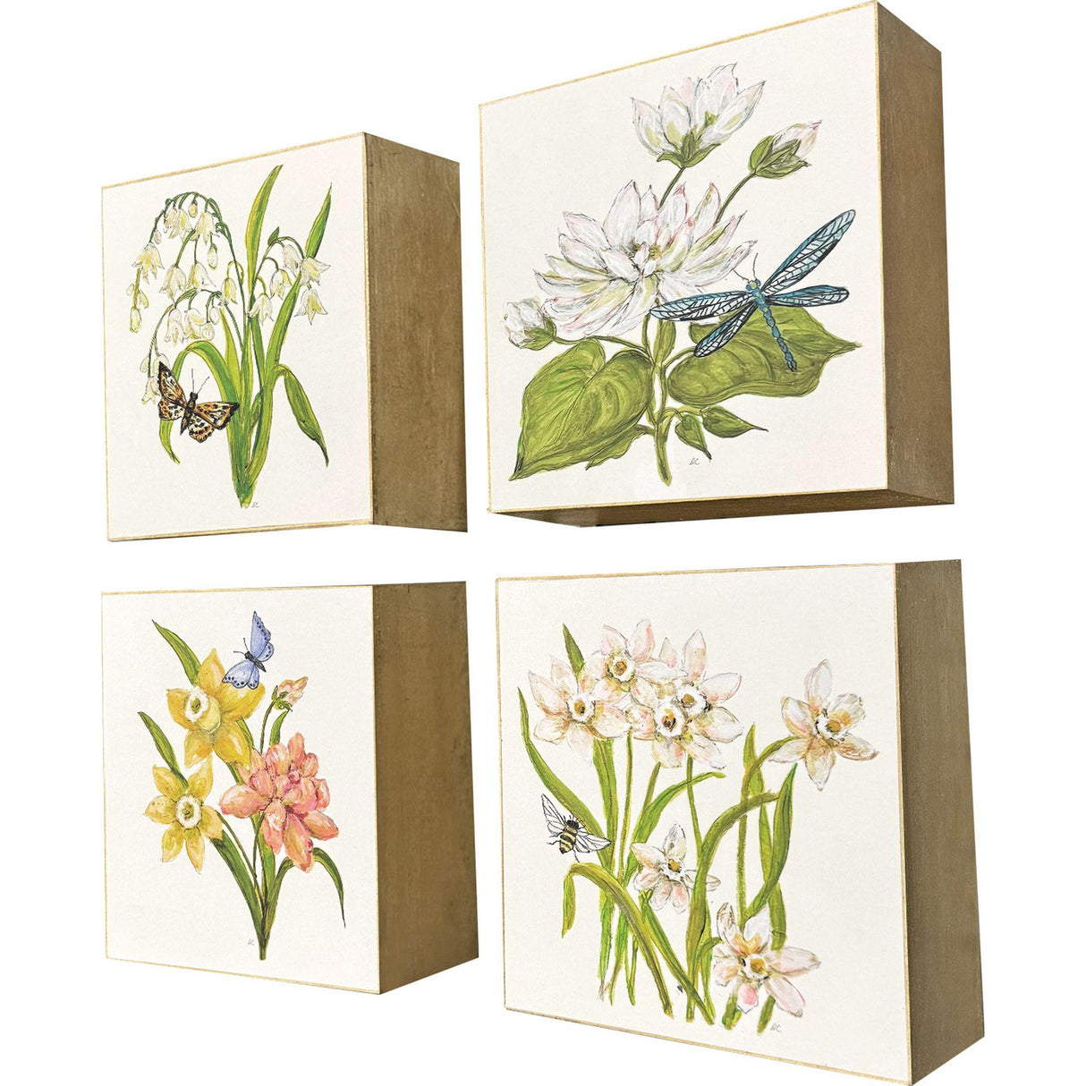 Paragon Floral Snapshot II S/4 Multi 05 X 05 X 1 Wall Hanging