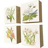 Paragon Floral Snapshot II S/4 Multi 05 X 05 X 1 Wall Hanging