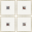 Paragon Natural Patterns II S/4 Metallic 21 X 21 X 1 Wall Art