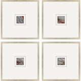Paragon Natural Patterns II S/4 Metallic 21 X 21 X 1 Wall Art
