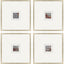 Paragon Natural Patterns II S/4 Metallic 21 X 21 X 1 Wall Art