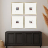 Paragon Natural Patterns II S/4 Metallic 21 X 21 X 1 Wall Art