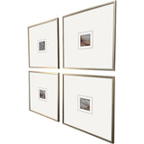 Paragon Natural Patterns II S/4 Metallic 21 X 21 X 1 Wall Art